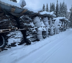 Pannuhuone Polttopuu Sodankylä 45cm pitkä [Suursäkki]